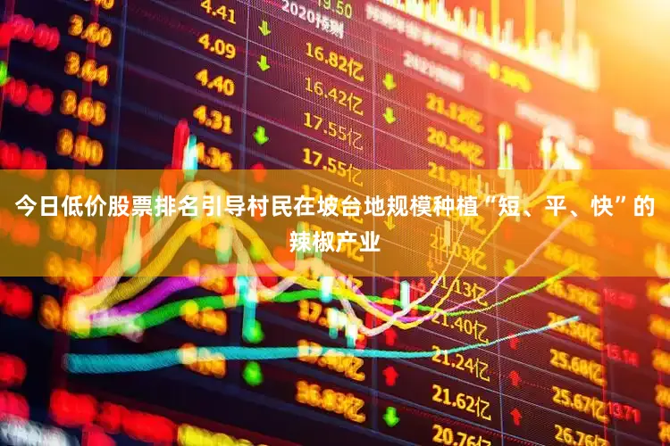 今日低价股票排名引导村民在坡台地规模种植“短、平、快”的辣椒产业