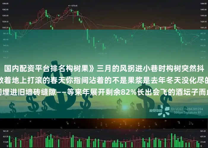 国内配资平台排名构树果》三月的风拐进小巷时构树突然抖落满身红铃铛我们醉醺醺地数着地上打滚的春天你指间沾着的不是果浆是去年冬天没化尽的晚霞最饱满的那颗被我们埋进旧墙砖缝隙——等来年展开剩余82%长出会飞的酒坛子而此刻整棵树都晃动着在暖风里慢慢酿成一坛新封的青梅发布于：湖北省