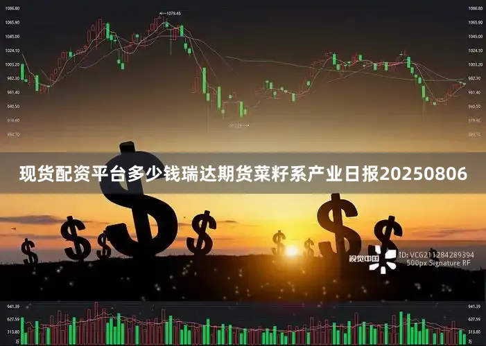 现货配资平台多少钱瑞达期货菜籽系产业日报20250806